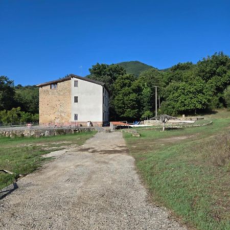 Tenuta D'Arienzo サン・マウロ・ラ・ブルーカ エクステリア 写真